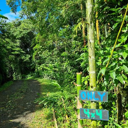 Vulkan Arenal Amazing View Lodge 4 Wd El Castillo Ngoại thất bức ảnh