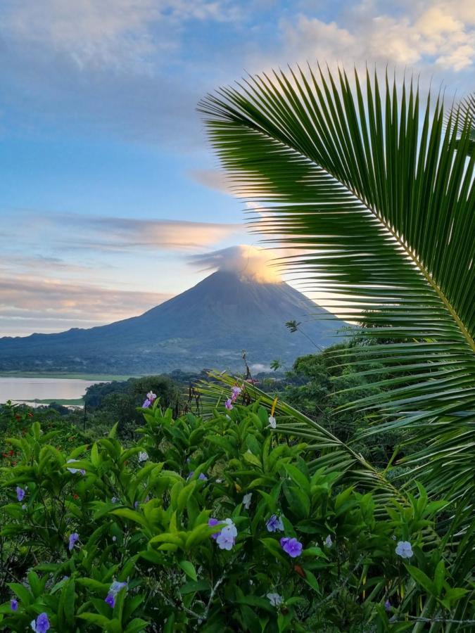 Vulkan Arenal Amazing View Lodge 4 Wd El Castillo Ngoại thất bức ảnh
