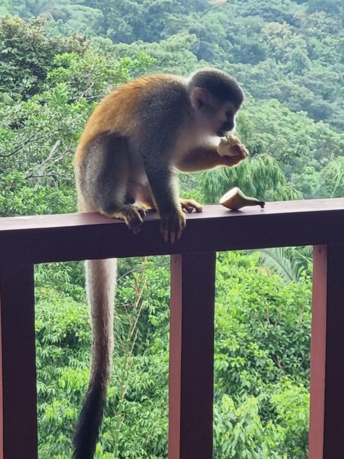 Vulkan Arenal Amazing View Lodge 4 Wd El Castillo Ngoại thất bức ảnh